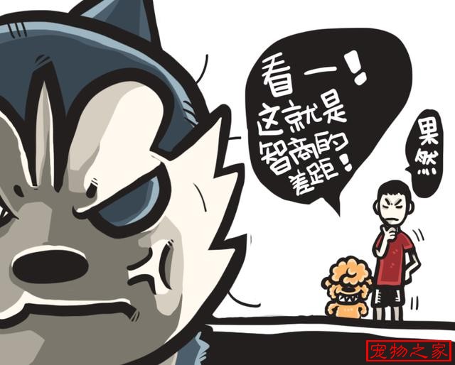 番茄同学既然不能靠脸吃饭那只能用智商来碾压你们了