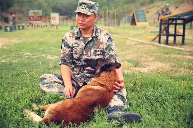 犬王贾树志军旗正红大型系列报道