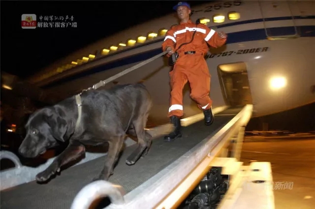 犬王贾树志军旗正红大型系列报道