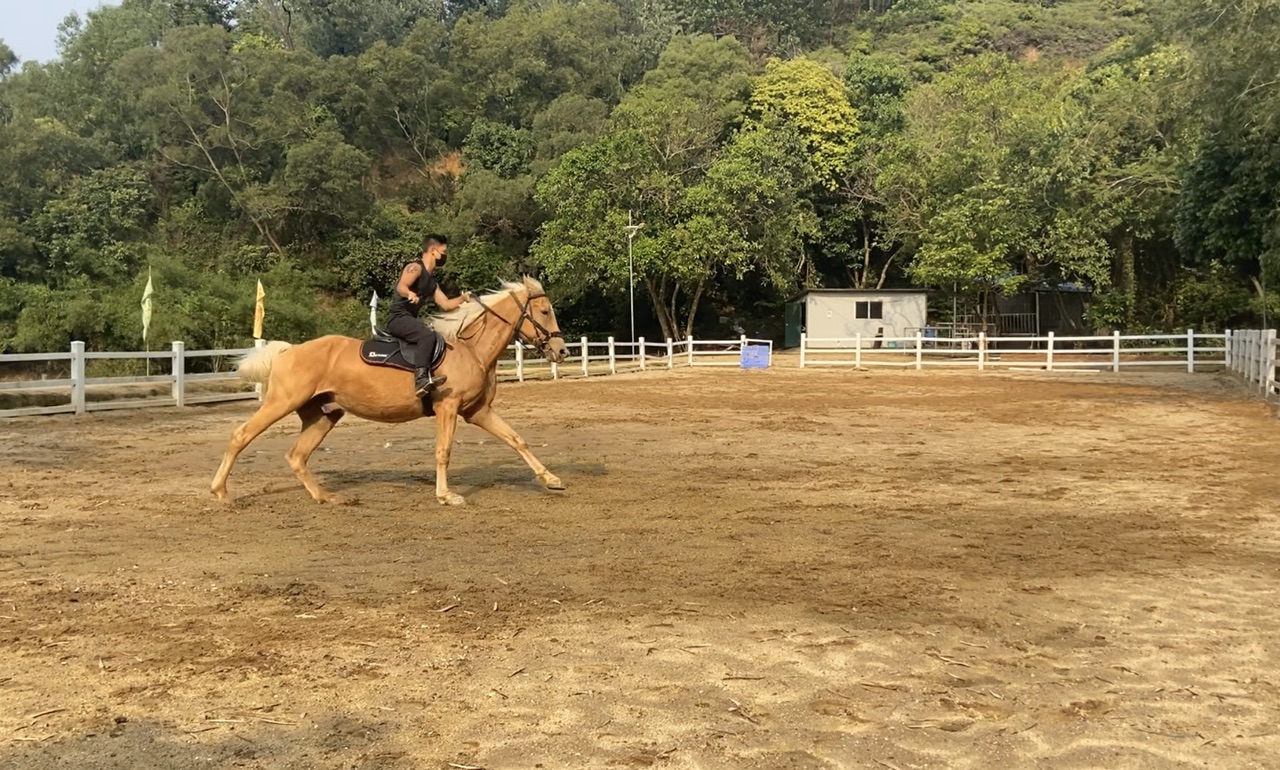 中山珠海骑马去哪里