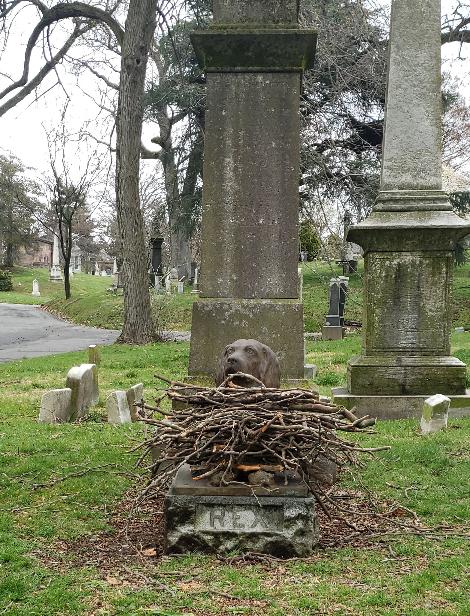 公墓最出名的反而是狗狗暖心路人在它墓前堆满树枝