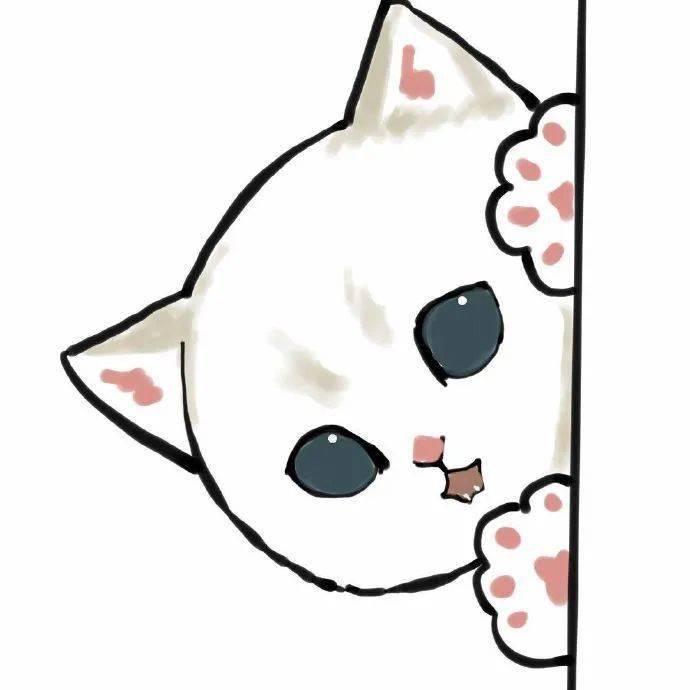 动画版暗中观察小猫咪对比看看会不会比真喵版更可爱67